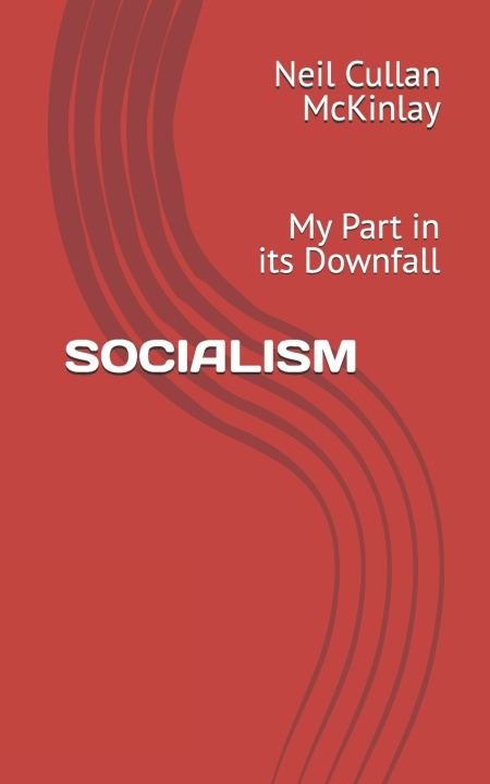 Kniha SOCIALISM Neil Cullan McKinlay
