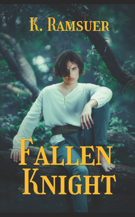 Kniha Fallen Knight K. Ramsuer