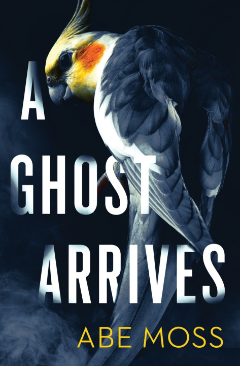 Kniha A Ghost Arrives Abe Moss