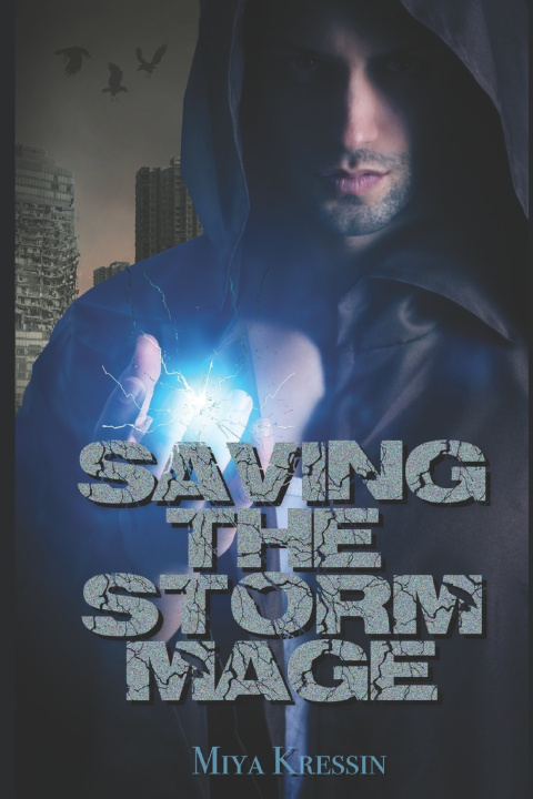 Kniha Saving The Storm Mage Miya Kressin