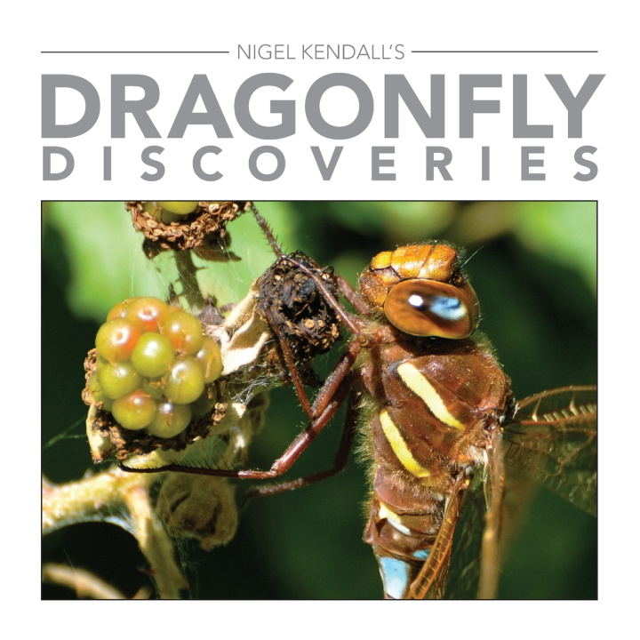 Kniha Dragonfly Discoveries Nigel Kendall