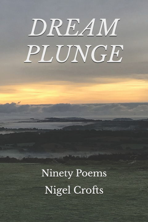 Knjiga DREAM PLUNGE Nigel Crofts