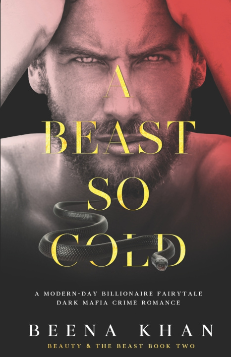 Kniha A Beast So Cold Beena Khan