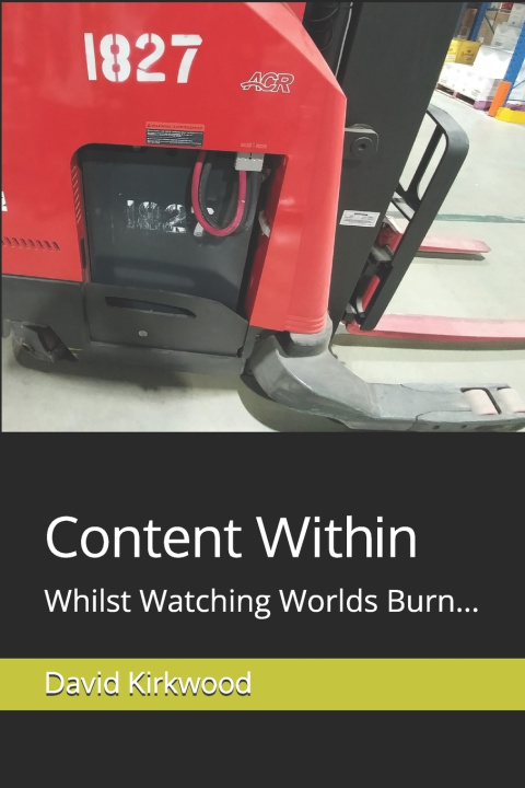 Kniha Content Within David Mark Kirkwood