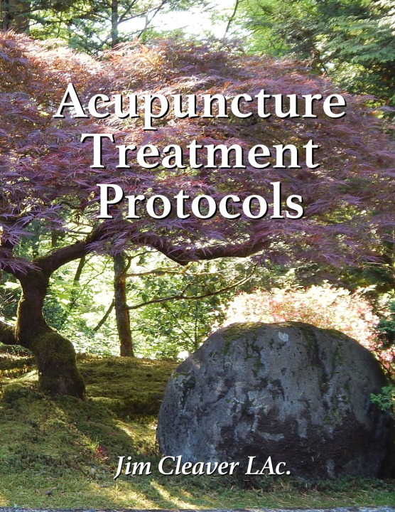 Kniha Acupuncture Treatment Protocols Jim Cleaver LAc.