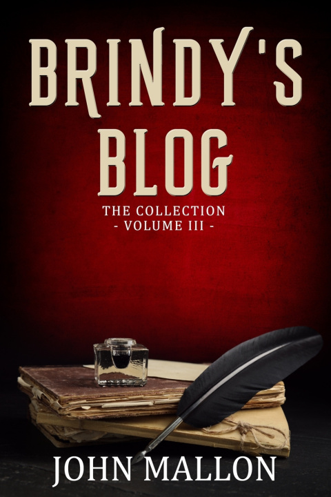 Kniha Brindy's Blog John Mallon