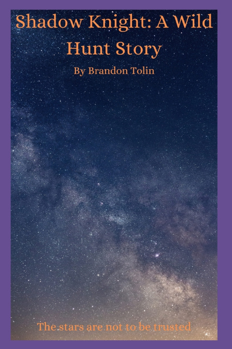 Kniha Shadow Knight Brandon Tolin
