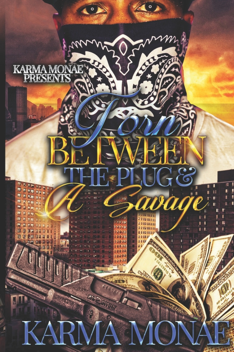 Kniha Torn Between the Plug & A Savage Karma Monae