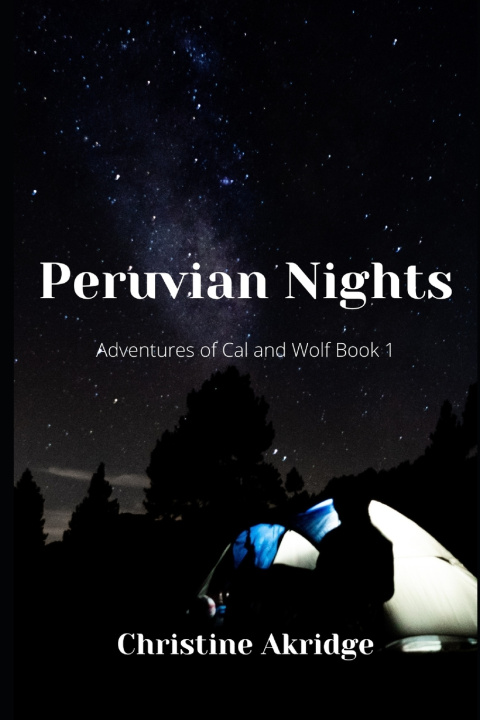 Kniha Peruvian Nights Christine Akridge