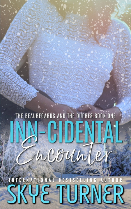 Kniha Inn-cidental Encounter Skye Turner