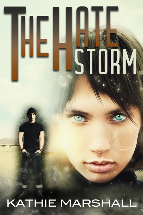 Knjiga The Hate Storm Kathie Marshall