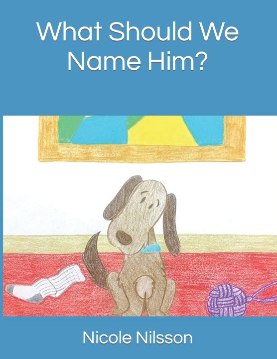 Kniha What Should We Name Him? Nicole M. Nilsson
