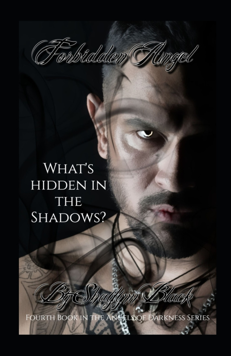 Kniha Forbidden Angel Shaylynn Black