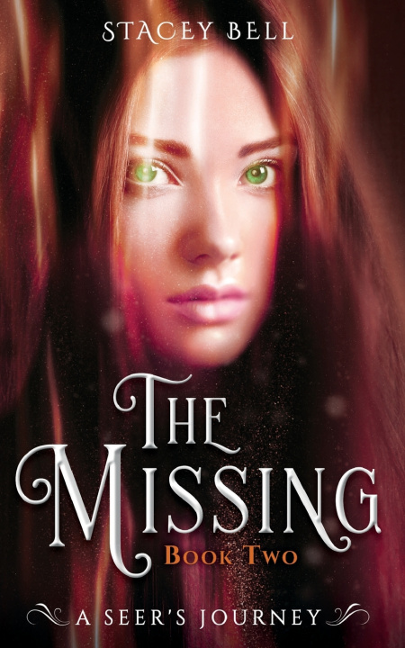 Kniha The Missing Stacey Bell