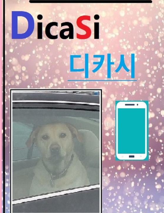 Kniha Dicasi Seongchoon Pak