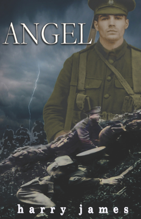 Kniha Angel Harry James