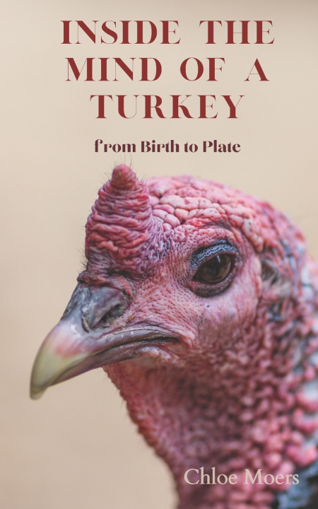 Kniha Inside the Mind of a Turkey Chloe Moers
