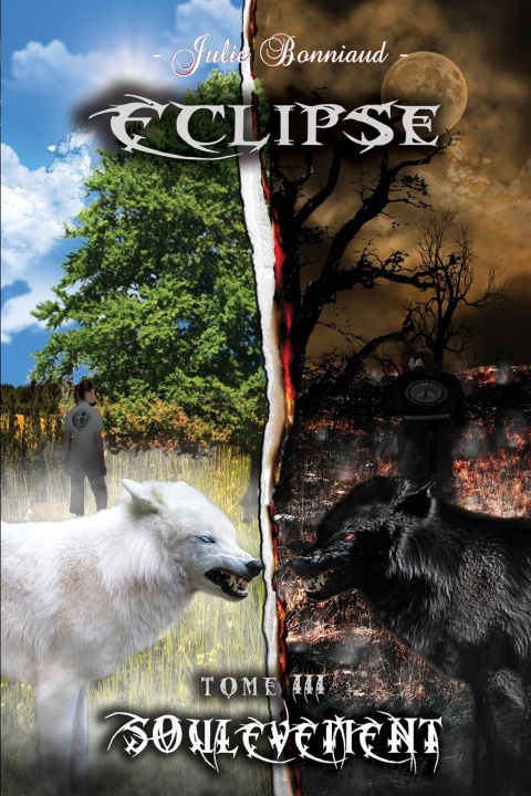 Kniha Eclipse, tome 3 Julie Bonniaud