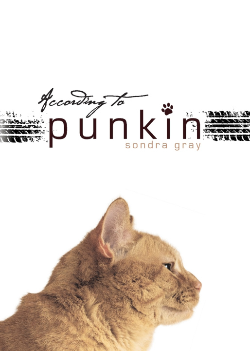 Kniha According to Punkin Sondra Gray