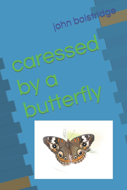 Kniha caressed by a butterfly john bolstridge
