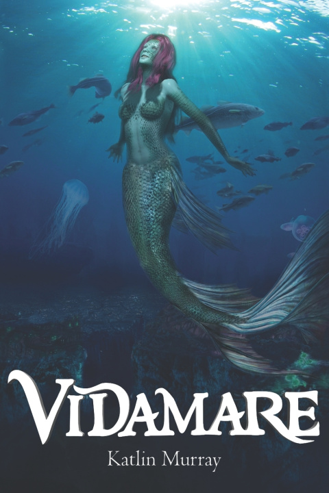 Boek Vidamare Katlin Murray