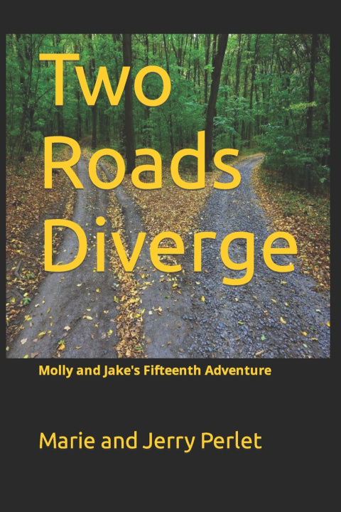 Kniha Two Roads Diverge Marie and Jerry Perlet