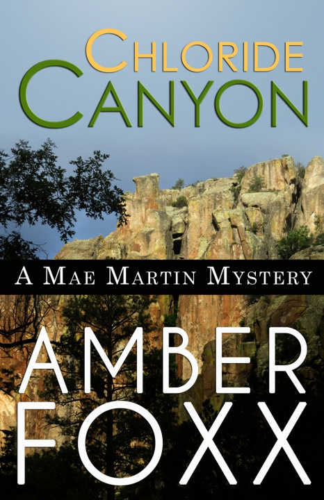 Knjiga Chloride Canyon Amber Foxx
