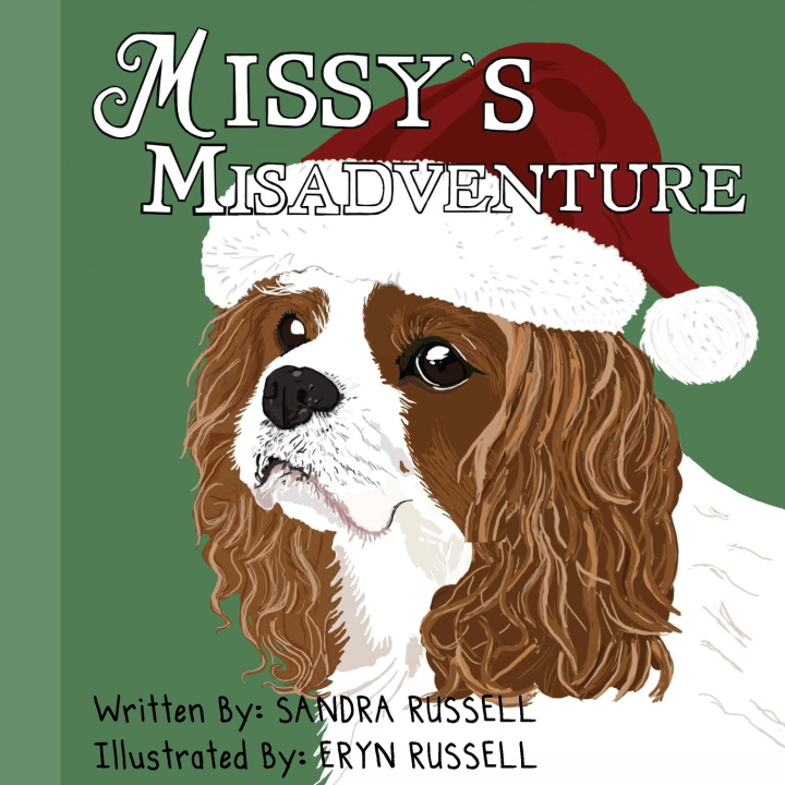Kniha Missy's Misadventure Sandra Russell