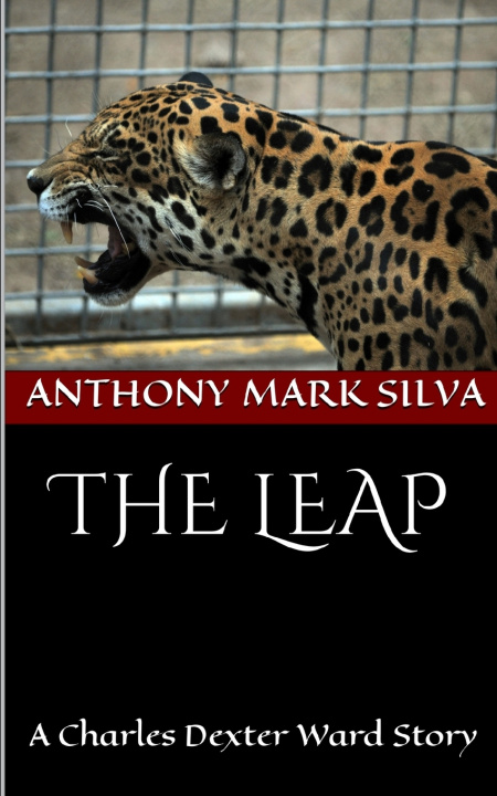 Kniha The Leap Anthony Mark Silva