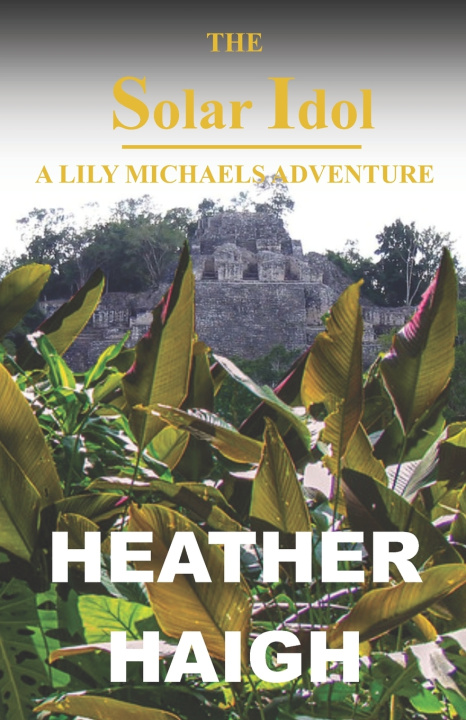 Kniha The Solar Idol Heather Haigh