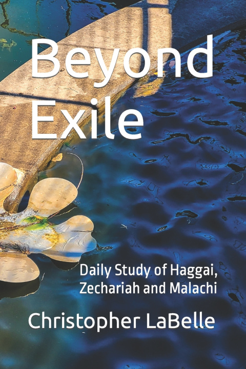 Knjiga Beyond Exile Christopher LaBelle