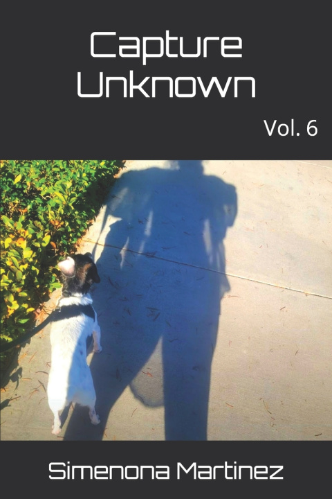 Kniha Capture Unknown Simenona Martinez