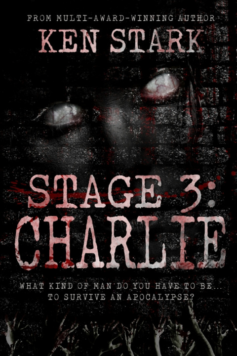 Kniha Stage 3 Ken Stark