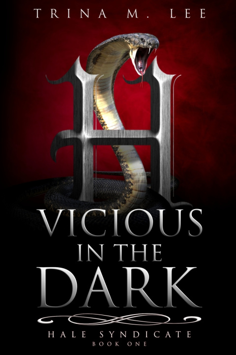 Kniha Vicious in the Dark Trina M. Lee
