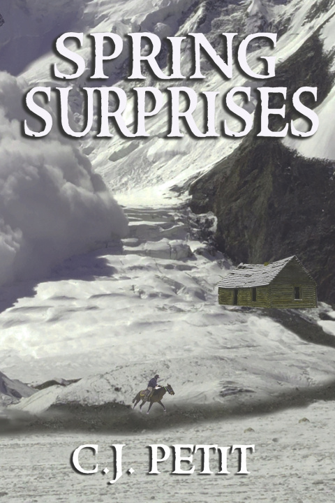 Kniha Spring Surprises C.J. Petit