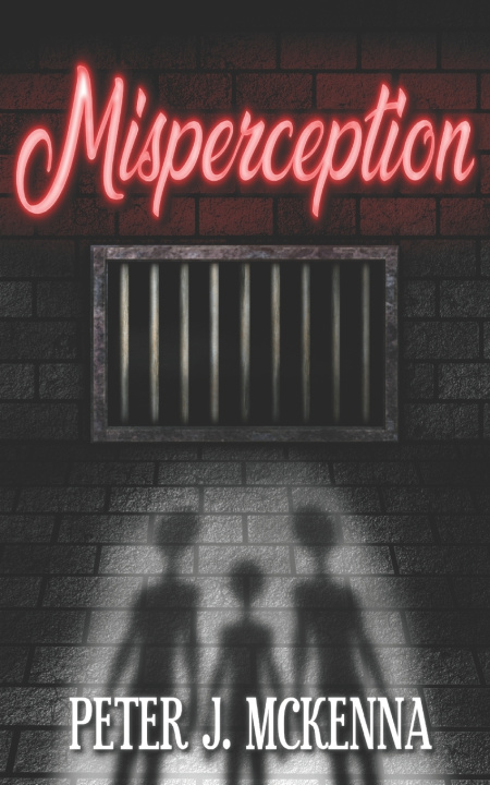 Knjiga Misperception Peter J. McKenna