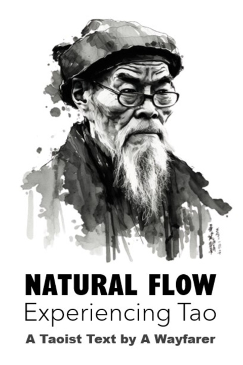 Kniha Natural Flow A Wayfarer