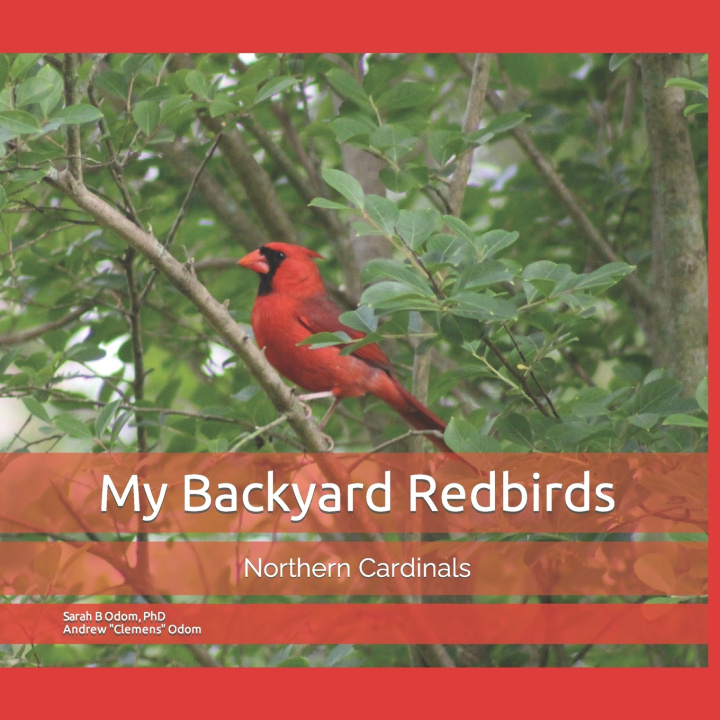 Kniha My Backyard Redbirds Sarah B. Odom PhD