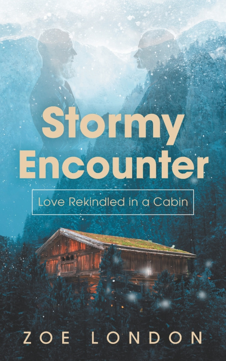 Kniha Stormy Encounter Zoe London