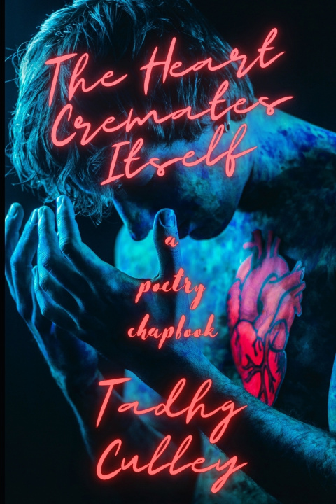 Kniha The Heart Cremates Itself Tadhg Culley