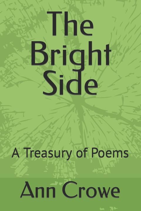 Kniha The Bright Side Ann Louise Crowe