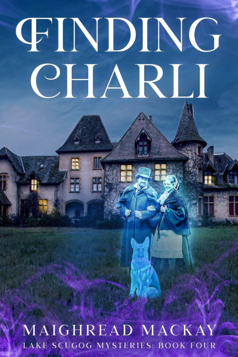 Kniha Finding Charli Maighread MacKay