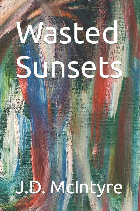 Kniha Wasted Sunsets J.D. McIntyre