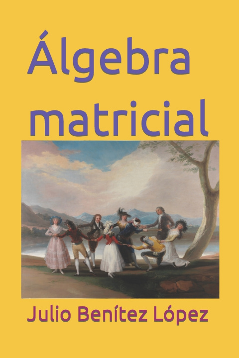 Kniha Álgebra matricial Julio Benítez López