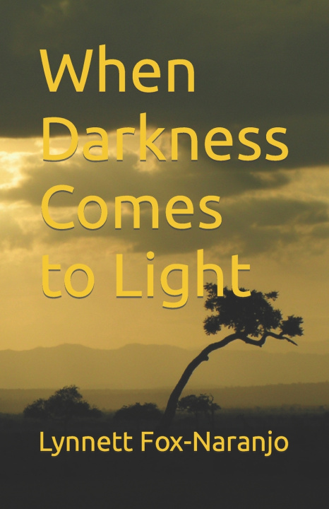 Kniha When Darkness Comes to Light Lynnett Fox-Naranjo