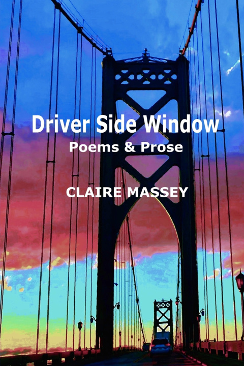 Knjiga Driver Side Window Claire A. Massey