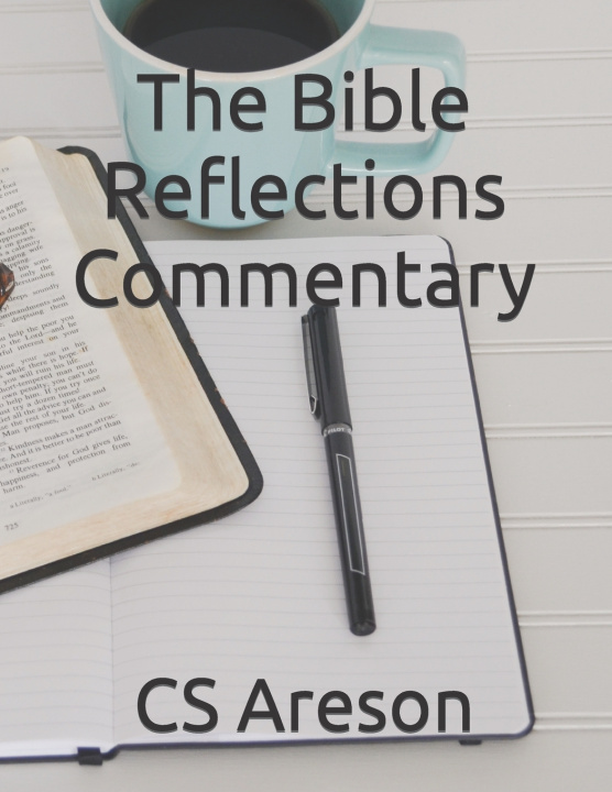Kniha The Bible Reflections Commentary C S Areson