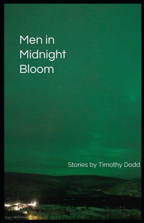 Kniha Men in Midnight Bloom Timothy Dodd