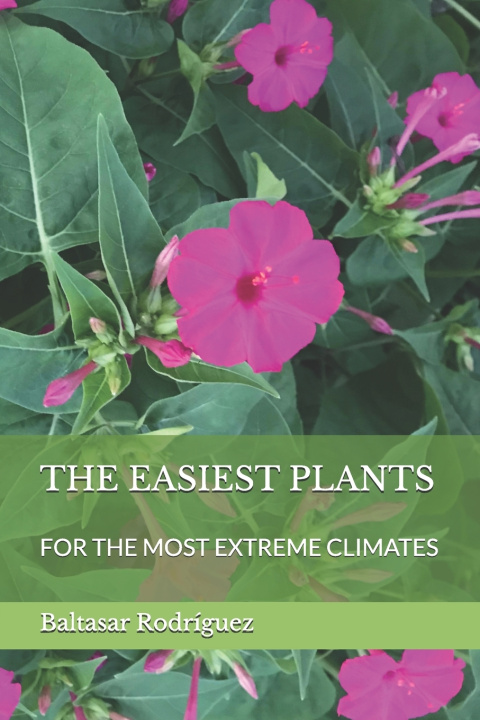 Kniha THE EASIEST PLANTS Baltasar Rodríguez