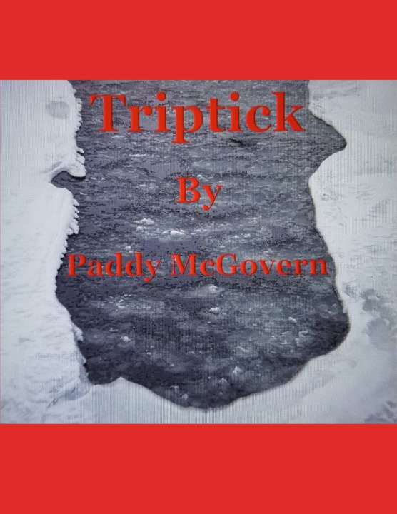 Kniha Triptick Paddy McGovern